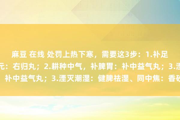 麻豆 在线 处罚上热下寒，需要这3步：1.补足肾阳：温肾阳，引火归元：右归丸；2.耕种中气，补脾胃：补中益气丸；3.湮灭潮湿：健脾祛湿、同中焦：香砂六君丸