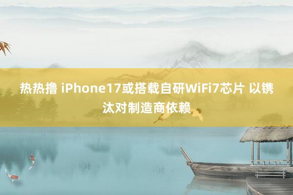 热热撸 iPhone17或搭载自研WiFi7芯片 以镌汰对制造商依赖