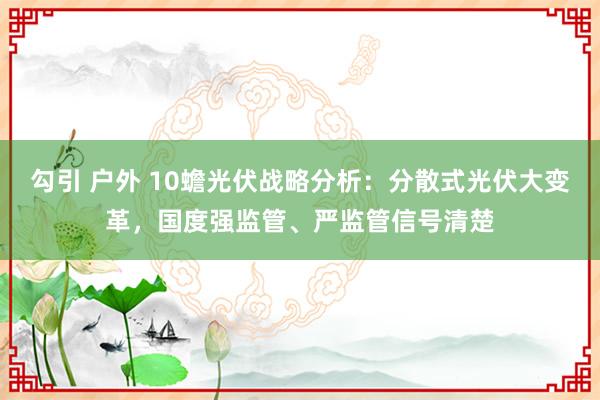 勾引 户外 10蟾光伏战略分析：分散式光伏大变革，国度强监管、严监管信号清楚