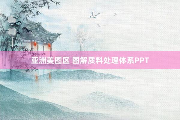 亚洲美图区 图解质料处理体系PPT