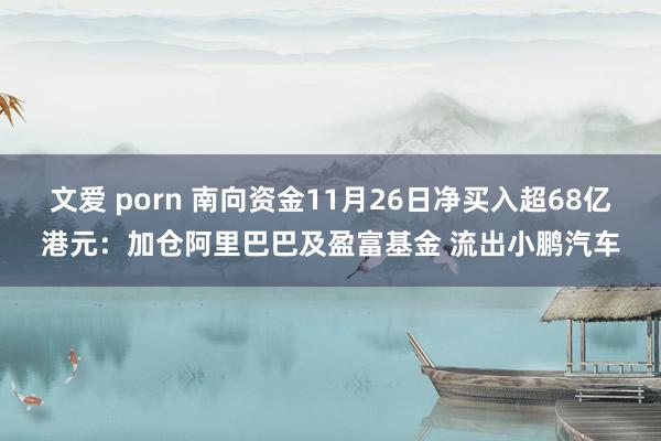 文爱 porn 南向资金11月26日净买入超68亿港元：加仓阿里巴巴及盈富基金 流出小鹏汽车