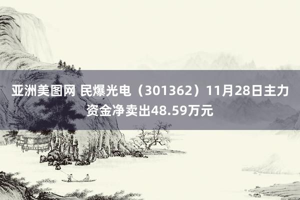 亚洲美图网 民爆光电（301362）11月28日主力资金净卖出48.59万元