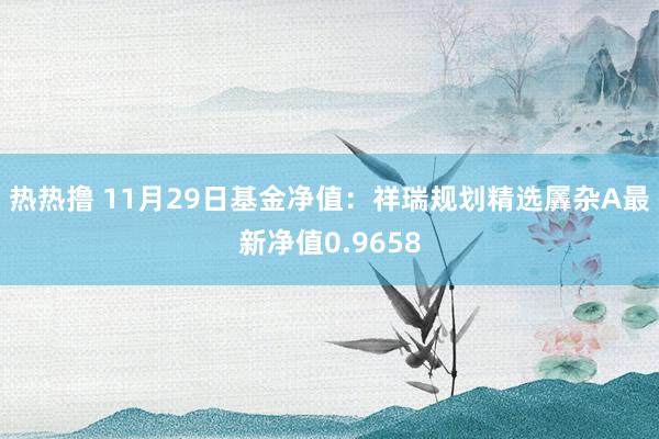 热热撸 11月29日基金净值：祥瑞规划精选羼杂A最新净值0.9658