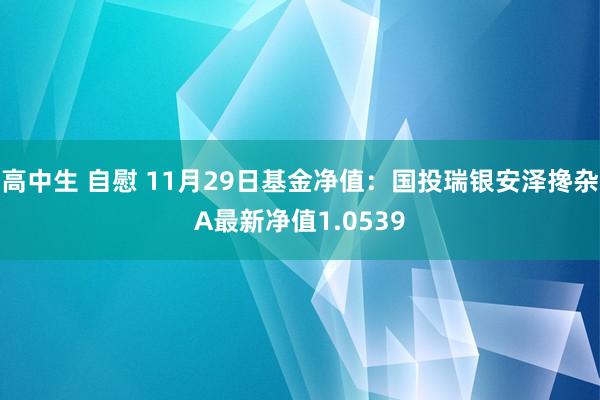 高中生 自慰 11月29日基金净值：国投瑞银安泽搀杂A最新净值1.0539