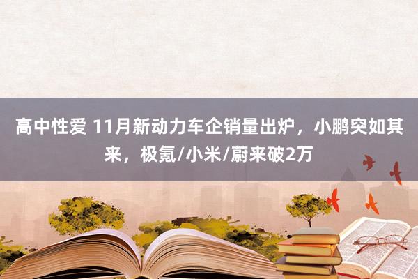 高中性爱 11月新动力车企销量出炉，小鹏突如其来，极氪/小米/蔚来破2万