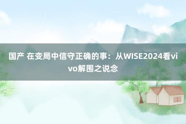 国产 在变局中信守正确的事：从WISE2024看vivo解围之说念