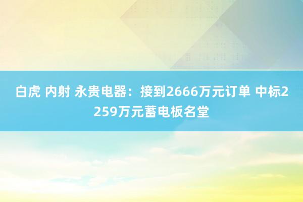 白虎 内射 永贵电器：接到2666万元订单 中标2259万元蓄电板名堂