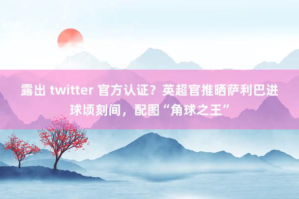 露出 twitter 官方认证？英超官推晒萨利巴进球顷刻间，配图“角球之王”