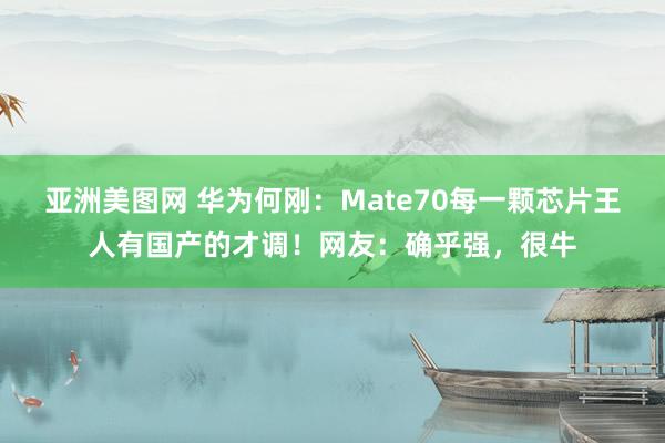 亚洲美图网 华为何刚：Mate70每一颗芯片王人有国产的才调！网友：确乎强，很牛