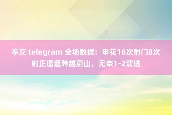 拳交 telegram 全场数据：申花16次射门8次射正遥遥跨越蔚山，无奈1-2溃逃