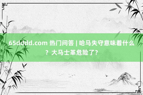 65dddd.com 热门问答 | 哈马失守意味着什么？大马士革危险了？