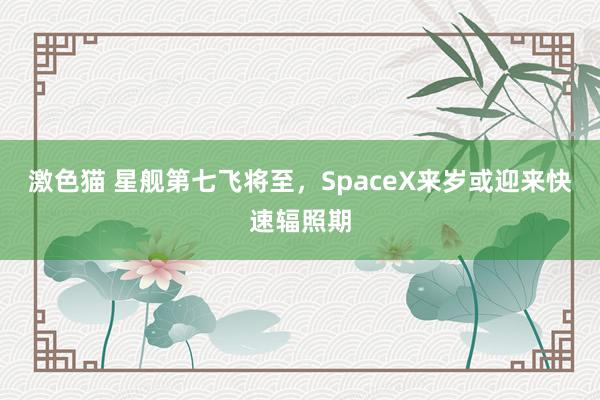 激色猫 星舰第七飞将至，SpaceX来岁或迎来快速辐照期