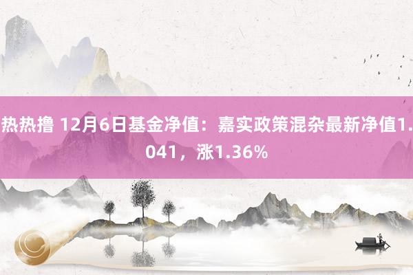 热热撸 12月6日基金净值：嘉实政策混杂最新净值1.041，涨1.36%