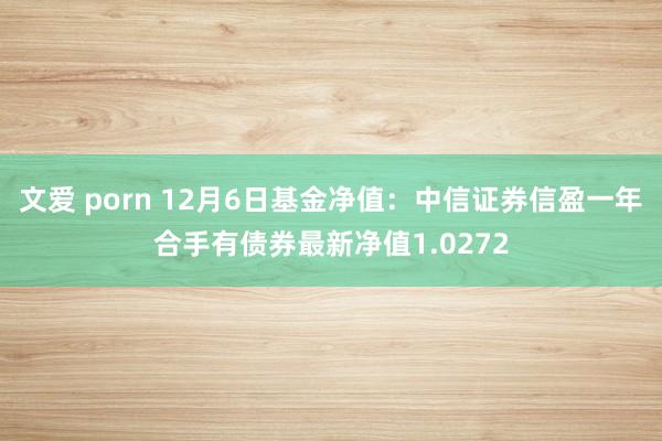 文爱 porn 12月6日基金净值：中信证券信盈一年合手有债券最新净值1.0272