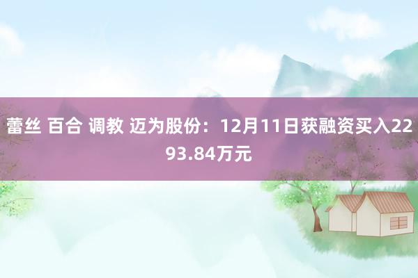 蕾丝 百合 调教 迈为股份：12月11日获融资买入2293.84万元