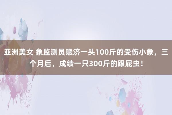 亚洲美女 象监测员赈济一头100斤的受伤小象，三个月后，成绩一只300斤的跟屁虫！