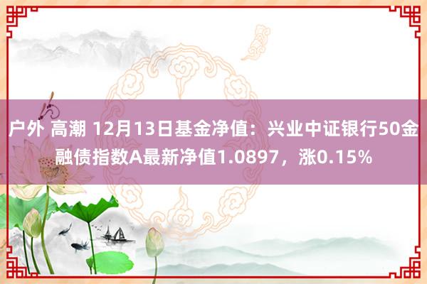 户外 高潮 12月13日基金净值：兴业中证银行50金融债指数A最新净值1.0897，涨0.15%