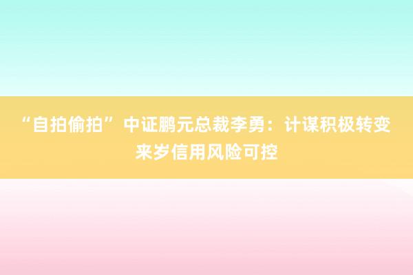 “自拍偷拍” 中证鹏元总裁李勇：计谋积极转变 来岁信用风险可控