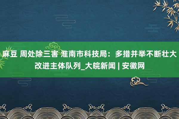 麻豆 周处除三害 淮南市科技局：多措并举不断壮大改进主体队列_大皖新闻 | 安徽网