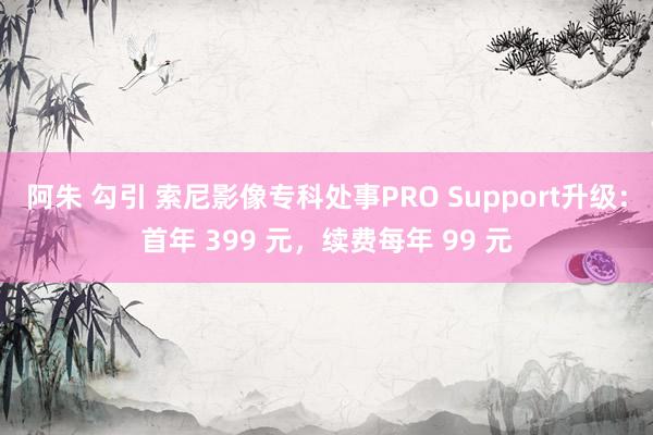 阿朱 勾引 索尼影像专科处事PRO Support升级：首年 399 元，续费每年 99 元