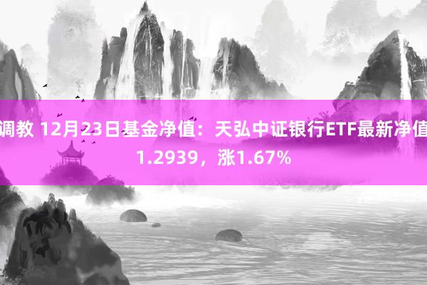 调教 12月23日基金净值：天弘中证银行ETF最新净值1.2939，涨1.67%