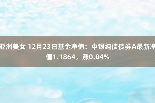 亚洲美女 12月23日基金净值：中银纯债债券A最新净值1.1864，涨0.04%