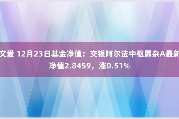 文爱 12月23日基金净值：交银阿尔法中枢羼杂A最新净值2.8459，涨0.51%