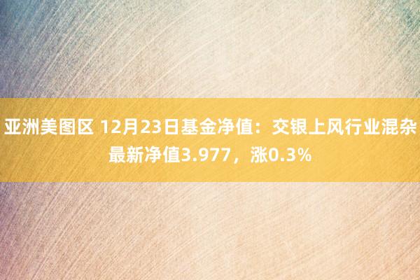 亚洲美图区 12月23日基金净值：交银上风行业混杂最新净值3.977，涨0.3%