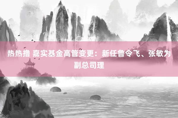 热热撸 嘉实基金高管变更：新任鲁令飞、张敏为副总司理