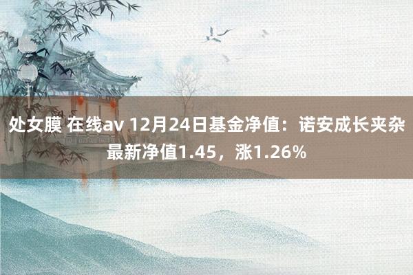 处女膜 在线av 12月24日基金净值：诺安成长夹杂最新净值1.45，涨1.26%