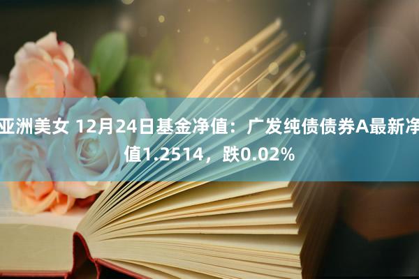 亚洲美女 12月24日基金净值：广发纯债债券A最新净值1.2514，跌0.02%