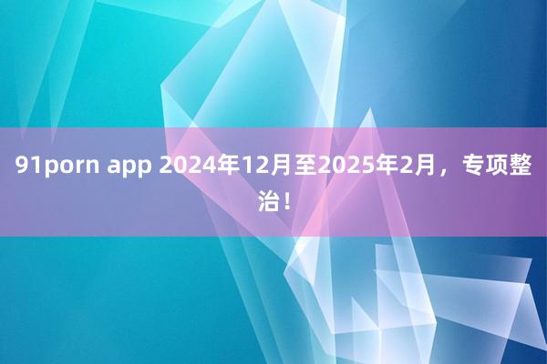 91porn app 2024年12月至2025年2月，专项整治！