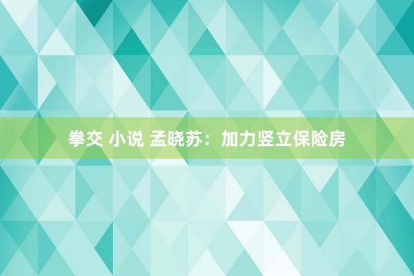 拳交 小说 孟晓苏：加力竖立保险房