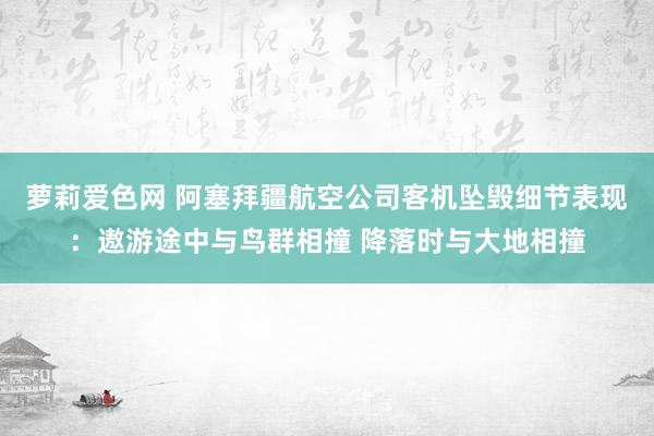 萝莉爱色网 阿塞拜疆航空公司客机坠毁细节表现：遨游途中与鸟群相撞 降落时与大地相撞