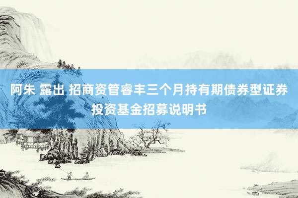 阿朱 露出 招商资管睿丰三个月持有期债券型证券投资基金招募说明书