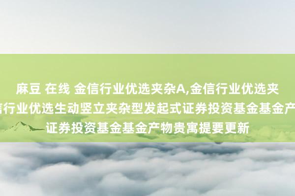 麻豆 在线 金信行业优选夹杂A，金信行业优选夹杂发起式C: 金信行业优选生动竖立夹杂型发起式证券投资基金基金产物贵寓提要更新