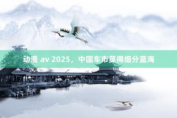 动漫 av 2025，中国车市莫得细分蓝海