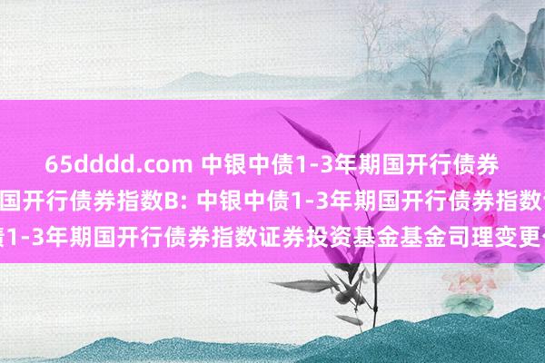 65dddd.com 中银中债1-3年期国开行债券指数A，中银中债1-3年期国开行债券指数B: 中银中债1-3年期国开行债券指数证券投资基金基金司理变更公告