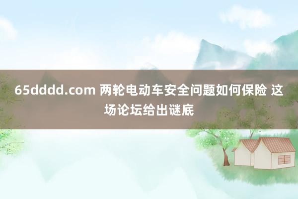 65dddd.com 两轮电动车安全问题如何保险 这场论坛给出谜底