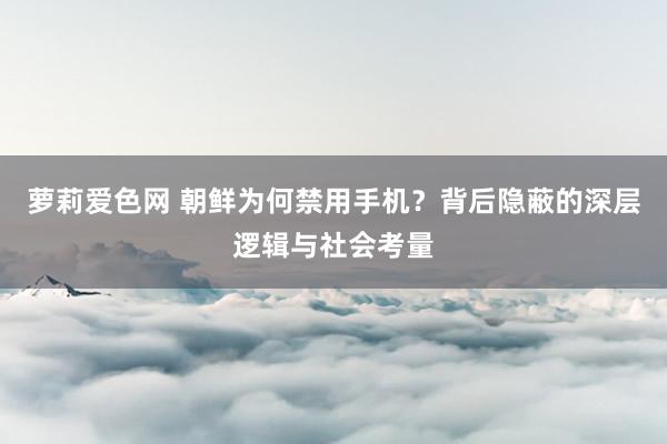 萝莉爱色网 朝鲜为何禁用手机？背后隐蔽的深层逻辑与社会考量