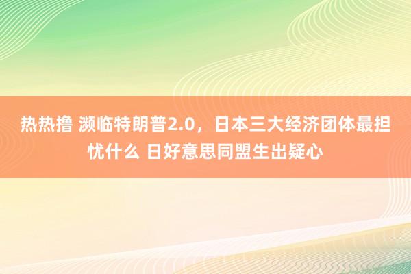 热热撸 濒临特朗普2.0，日本三大经济团体最担忧什么 日好意思同盟生出疑心