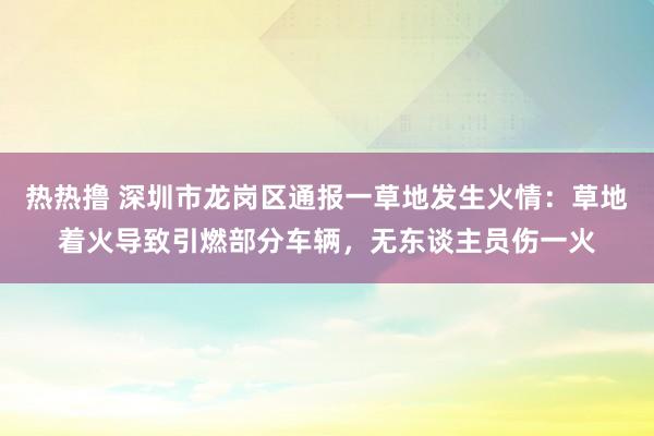 热热撸 深圳市龙岗区通报一草地发生火情：草地着火导致引燃部分车辆，无东谈主员伤一火