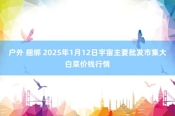 户外 捆绑 2025年1月12日宇宙主要批发市集大白菜价钱行情