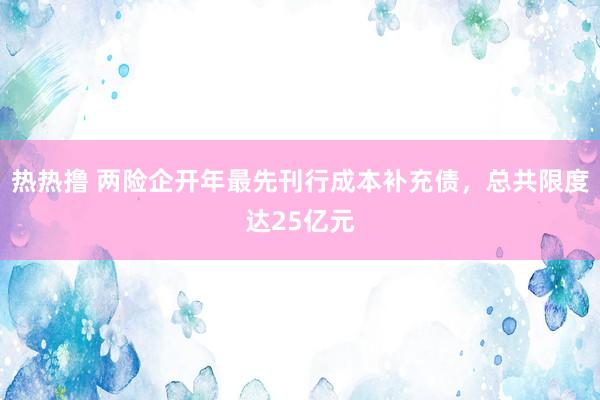 热热撸 两险企开年最先刊行成本补充债，总共限度达25亿元