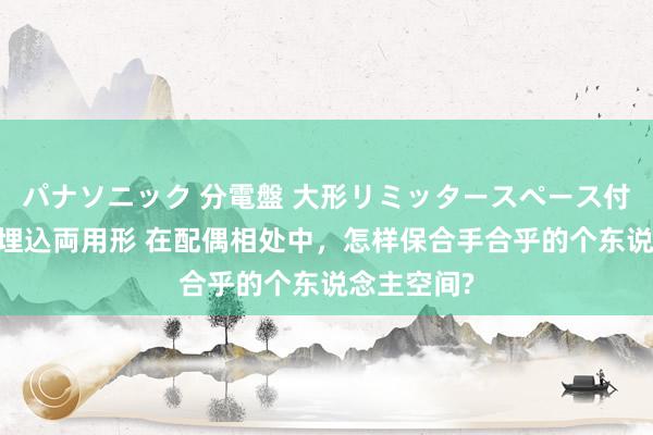 パナソニック 分電盤 大形リミッタースペース付 露出・半埋込両用形 在配偶相处中，怎样保合手合乎的个东说念主空间?