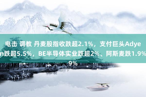 电击 调教 丹麦股指收跌超2.1%，支付巨头Adyen跌超5.5%，BE半导体实业跌超2%、阿斯麦跌1.9%