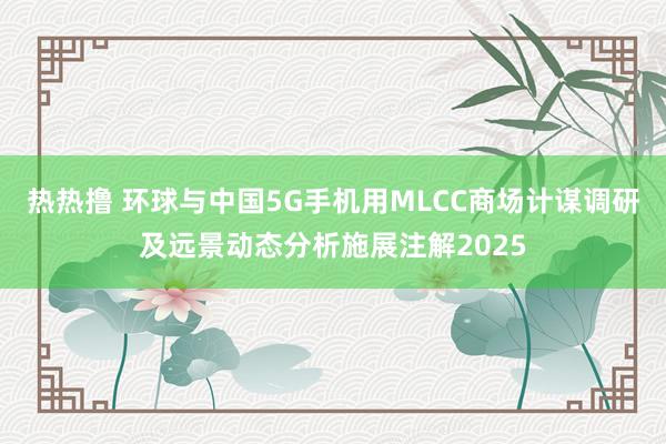 热热撸 环球与中国5G手机用MLCC商场计谋调研及远景动态分析施展注解2025