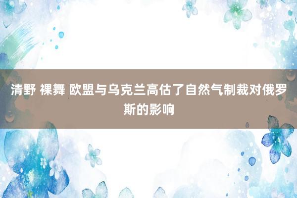 清野 裸舞 欧盟与乌克兰高估了自然气制裁对俄罗斯的影响