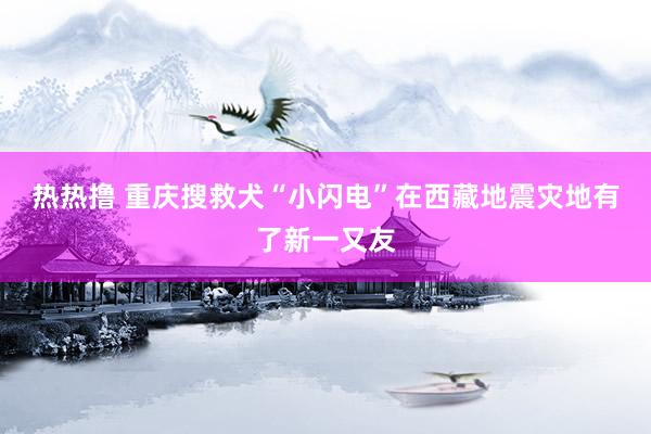 热热撸 重庆搜救犬“小闪电”在西藏地震灾地有了新一又友